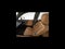 2021 Lexus ES 350 Ultra Luxury