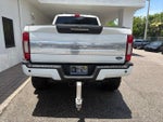 2020 Ford Super Duty F-250 SRW Platinum