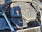 2023 BMW 530i xDrive 530i xDrive