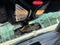 2019 BMW 7 Series 750i xDrive